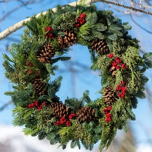 Canella Multicone Wreath